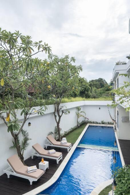 Villa Tyche - Luxury In Near *